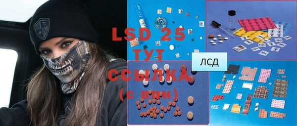 стафф Богданович