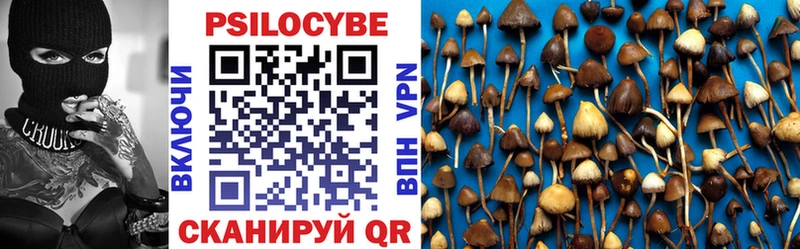 blacksprut как войти  Горняк  Галлюциногенные грибы Psilocybine cubensis  наркошоп 